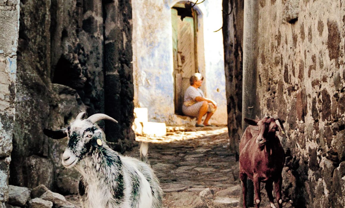 Travel-and-landscape-photography-blind-woman-goats-nisyros