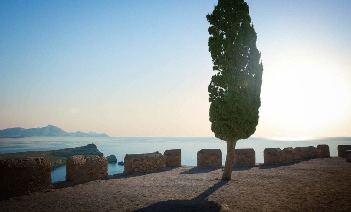 After-image-of-photo-retouching-of-tree-lyndos-greece