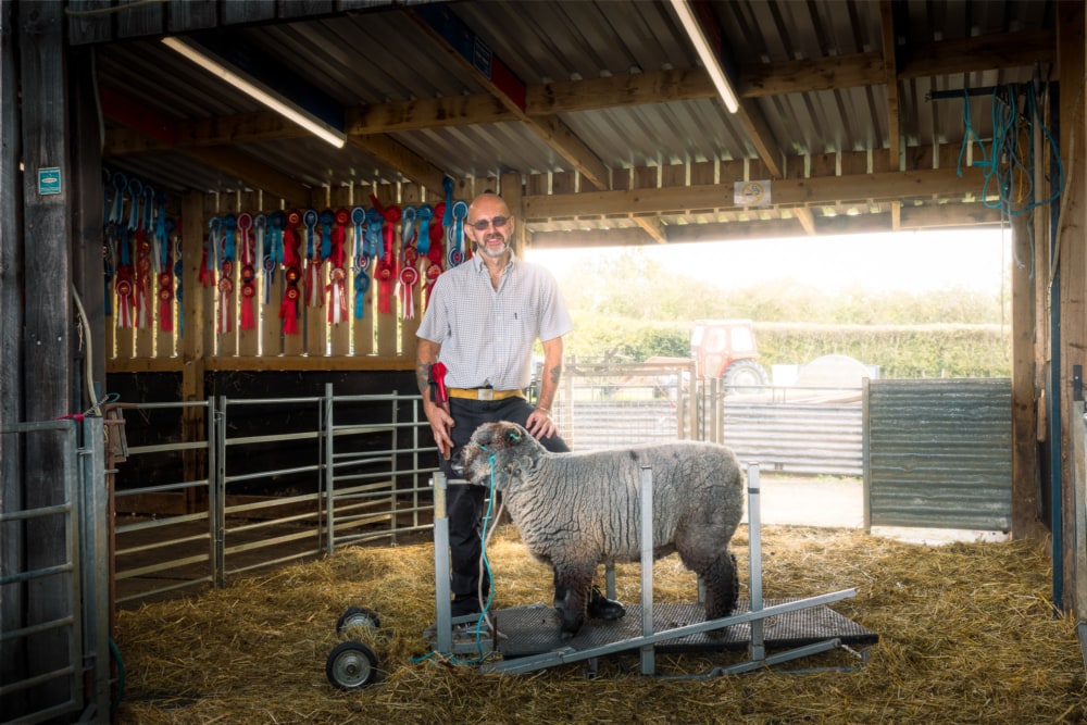 Steve-rowe-show-sheep-shearer-barn-stembridge