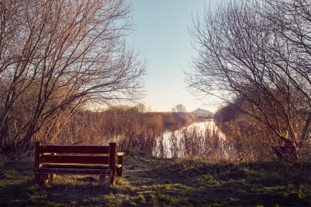 Wooden Remembrance Bench Overlooking Reed Bed And Glastonbury Tor