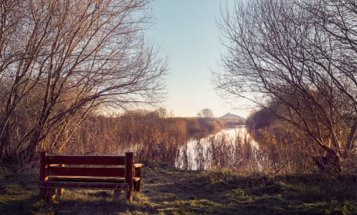 Wooden Remembrance Bench Overlooking Reed Bed And Glastonbury Tor