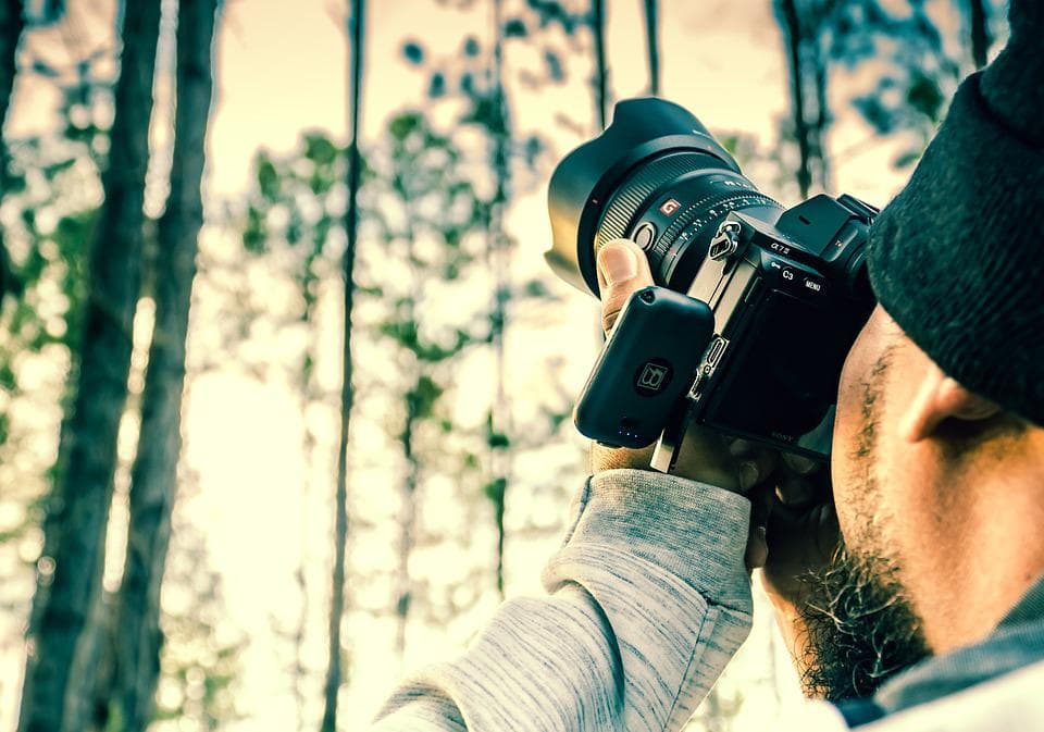 Photographer Shooting Trees